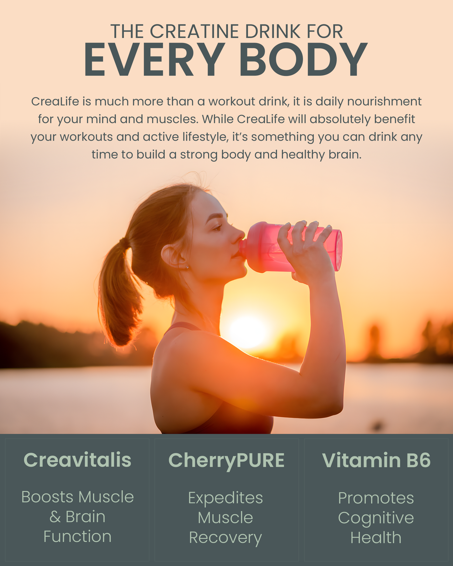 CreaLife - Strong Body, Healthy Brain - German Micronized Creatine + USA CherryPURE Tart Cherry Extract + Vitamin B6